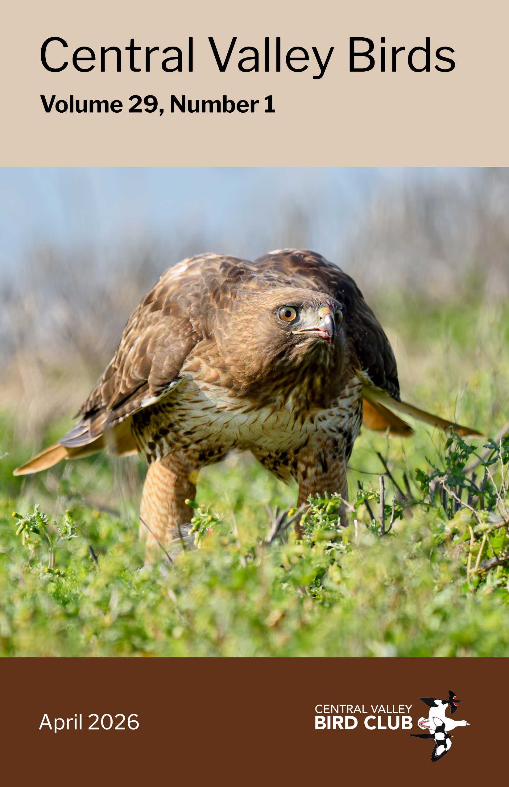 					View Vol. 29 No. 1 (2026): Central Valley Birds
				