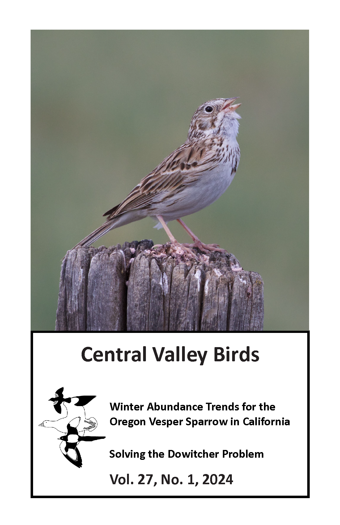 Vesper Sparrow (Pooecetes gramineus). 14 June 2017. Three Forks, Montana.   Photo by Ed Harper