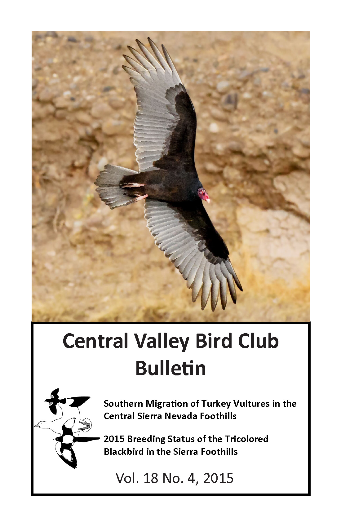 Journal cover showing a photo of a Turkey Vulture in flight in front of an earthen cliff